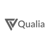 qualia